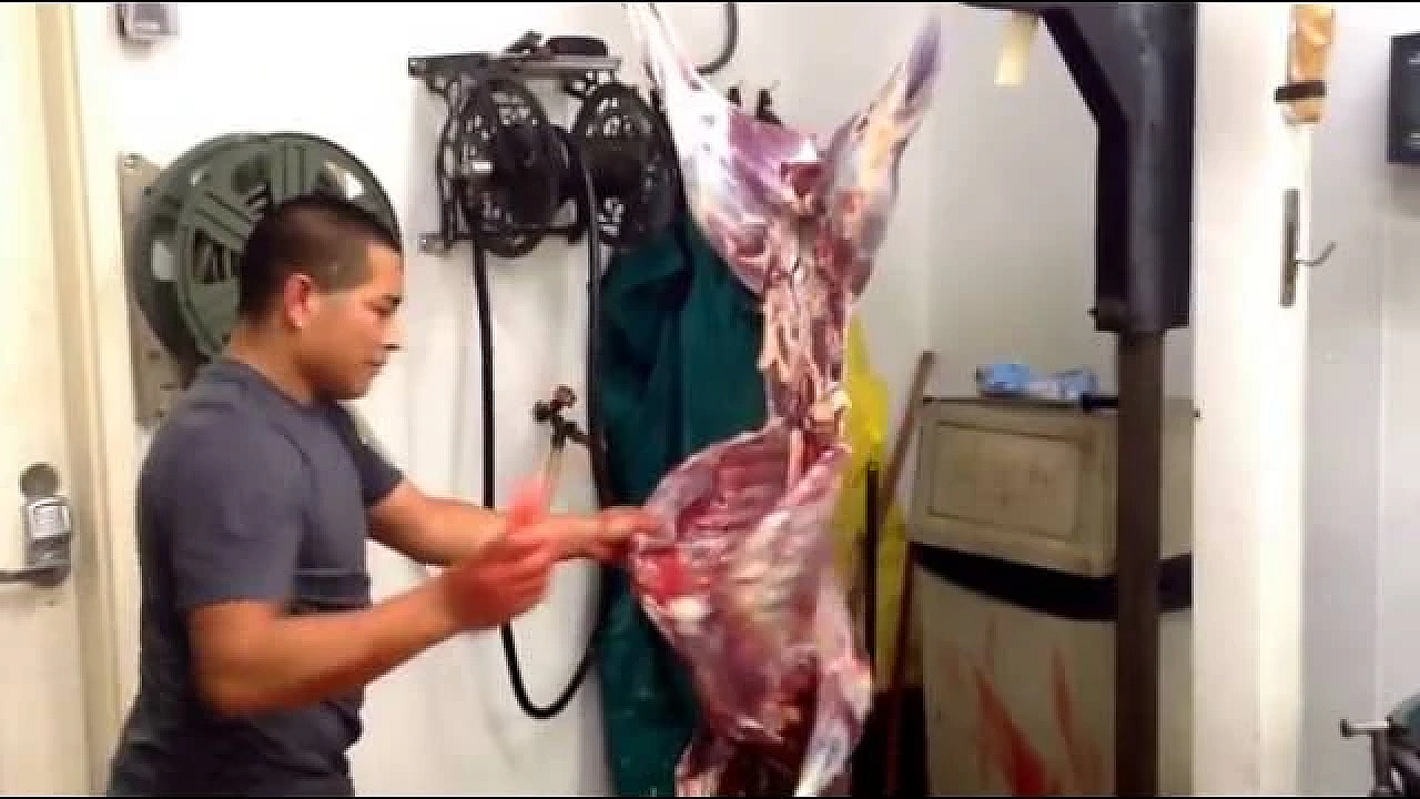 In twee minuten professioneel een hert villen en ontweiden