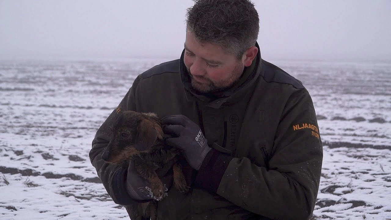 Nl Jaagt Aflevering 17 Zweet-/nazoekwerk En Bouwjacht