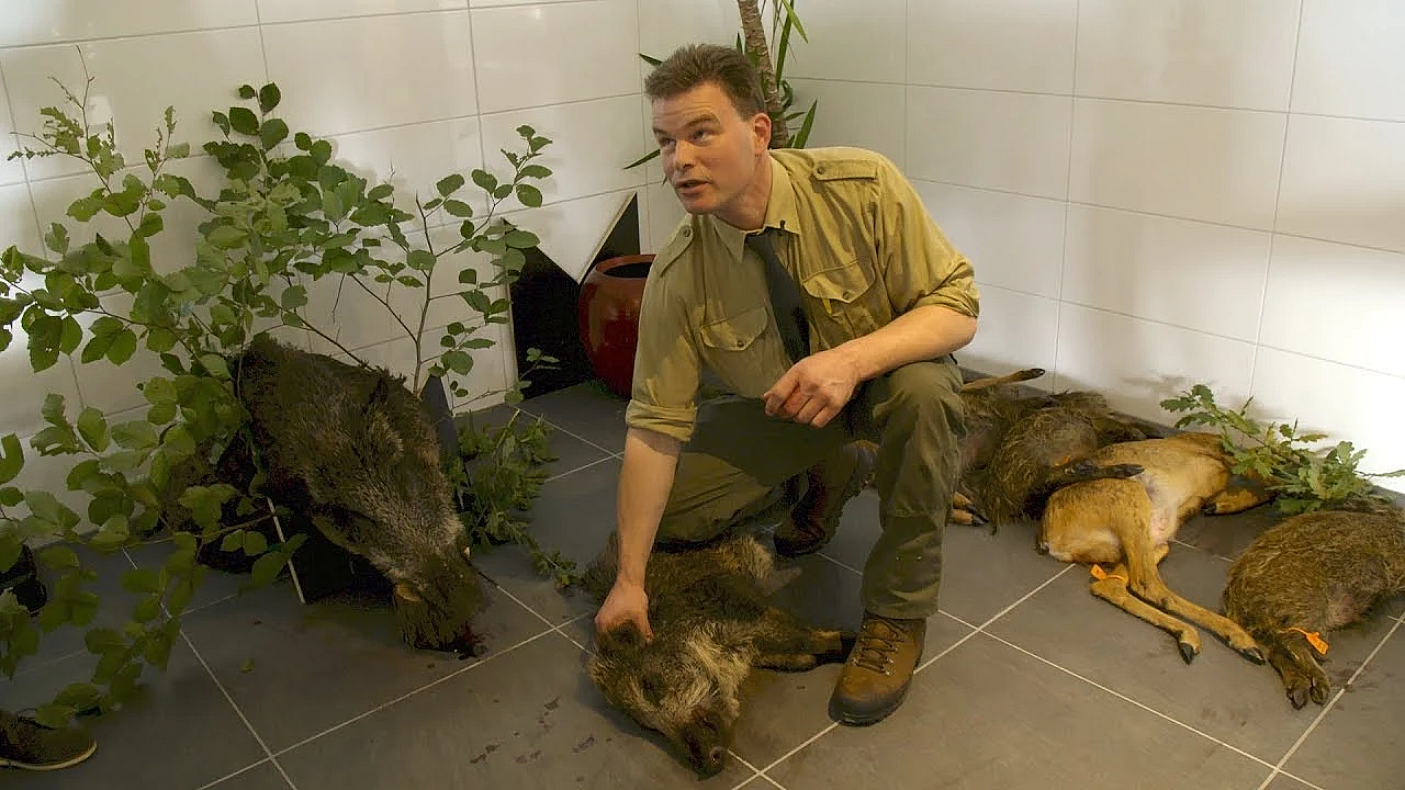 Nl Jaagt Aflevering 18 Effectief Doden Van Ziekgeschoten Grofwild
