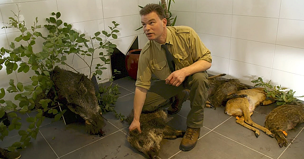 Nl Jaagt Aflevering 18 Effectief Doden Van Ziekgeschoten Grofwild