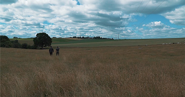 Nl Jaagt Aflevering 13 Patrijzenbeheer In Wallonie.
