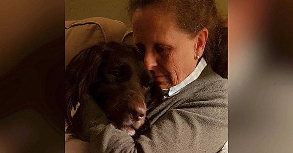 NL Jaagt afl. 21: De ziekte van Lyme, een interview met Sabeth de Clerq