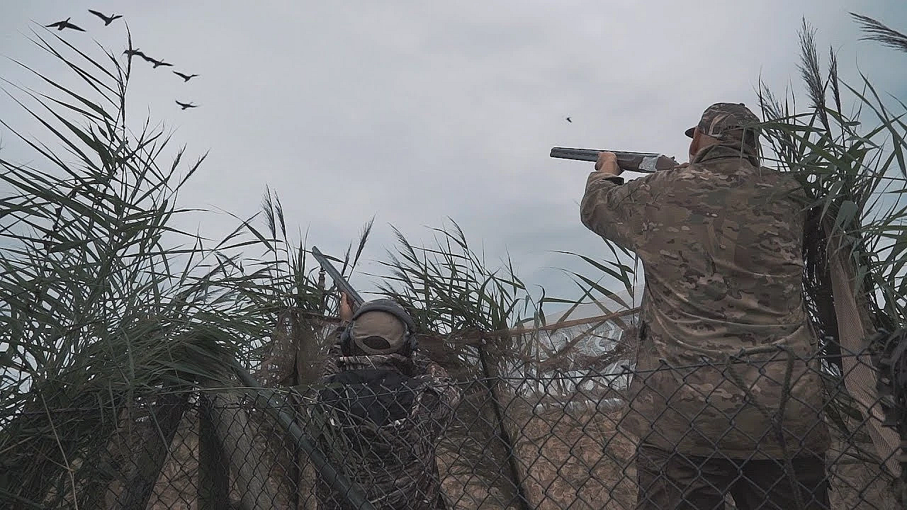 Nl Jaagt Aflevering 15 Ganzen-, Eenden- En Kraaienjacht Met Dirk-jan
