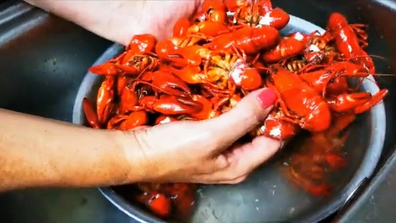 Stunning Crayfish Patties. First? Catch Your Crays. #crayfish #crawfish #srp