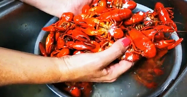 Stunning Crayfish Patties. First? Catch Your Crays. #crayfish #crawfish #srp