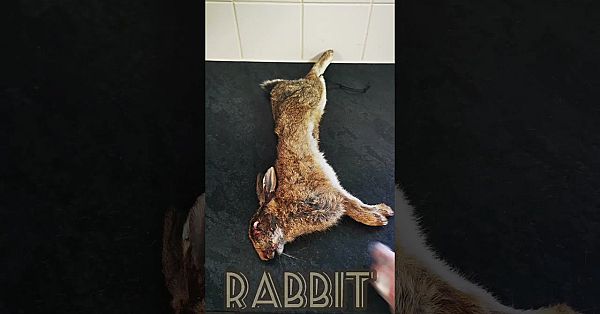 Easy Rabbit Prep Time Lapse. #srp  #rabbit #wildfood #fieldtofork #wildfoodcooking  #game #shorts