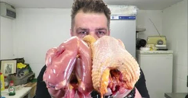 The Easy Way To Prepare Game. Part 2.pheasant. 1 Plucked And 1 Skinned. #srp