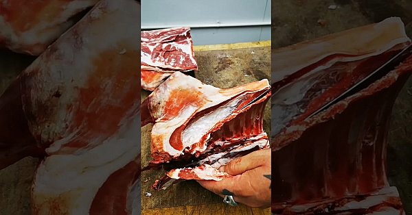 Shoulders Of Lamb. Whole And Halved. #srp #lamb #shorts