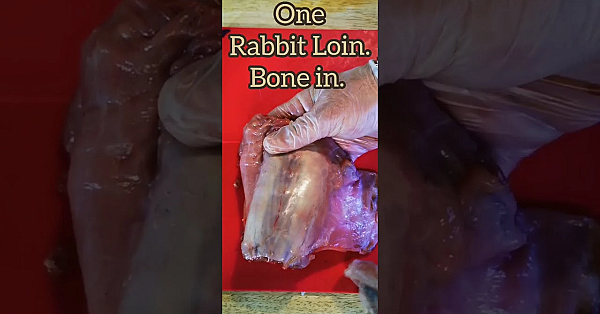 Boneless Rabbit Loin #srp #rabbit #rabbitrecipe #fieldtofork #shorts