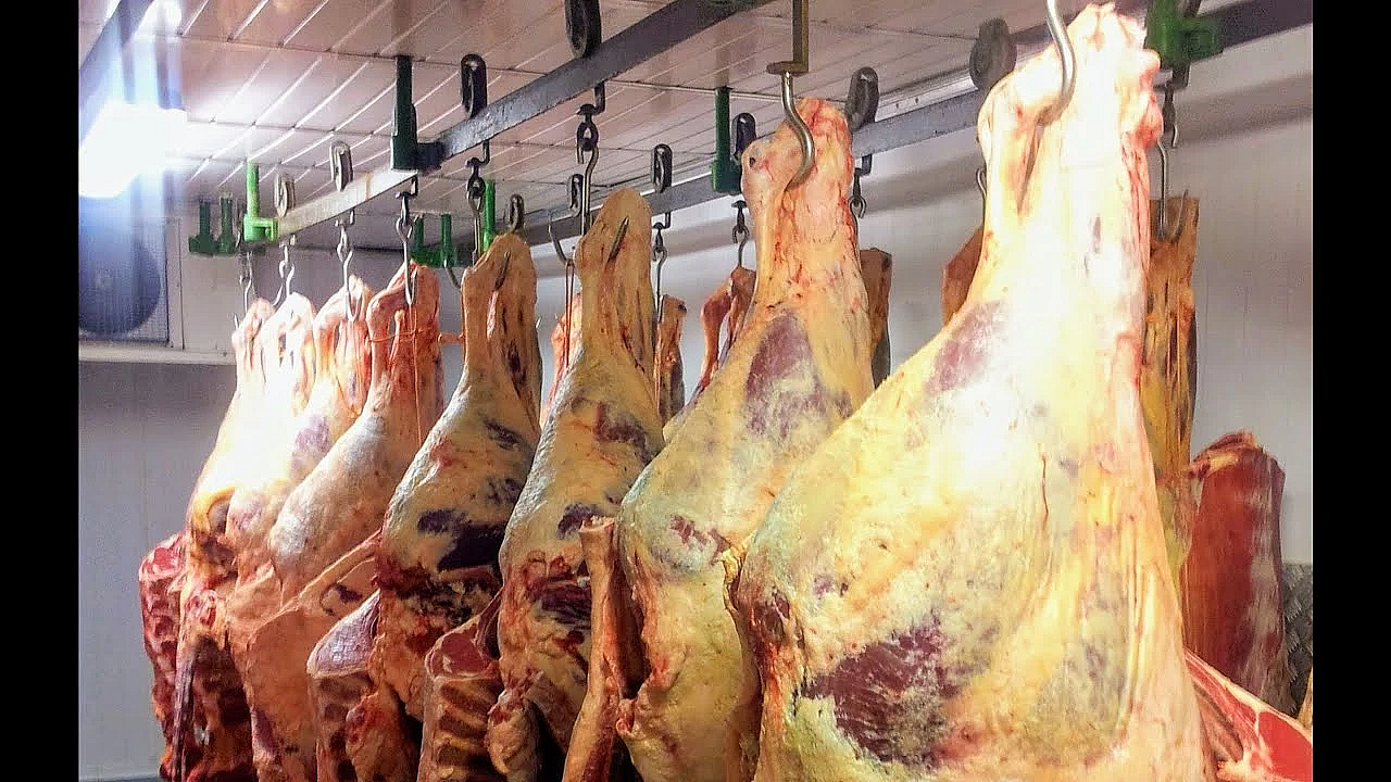 How To Butcher A Cow. A Hindquarter, Hip And Loin. Where Do Steaks Come From? #srp #beefbutchery