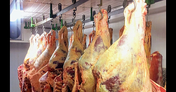 How To Butcher A Cow. A Hindquarter, Hip And Loin. Where Do Steaks Come From? #srp #beefbutchery