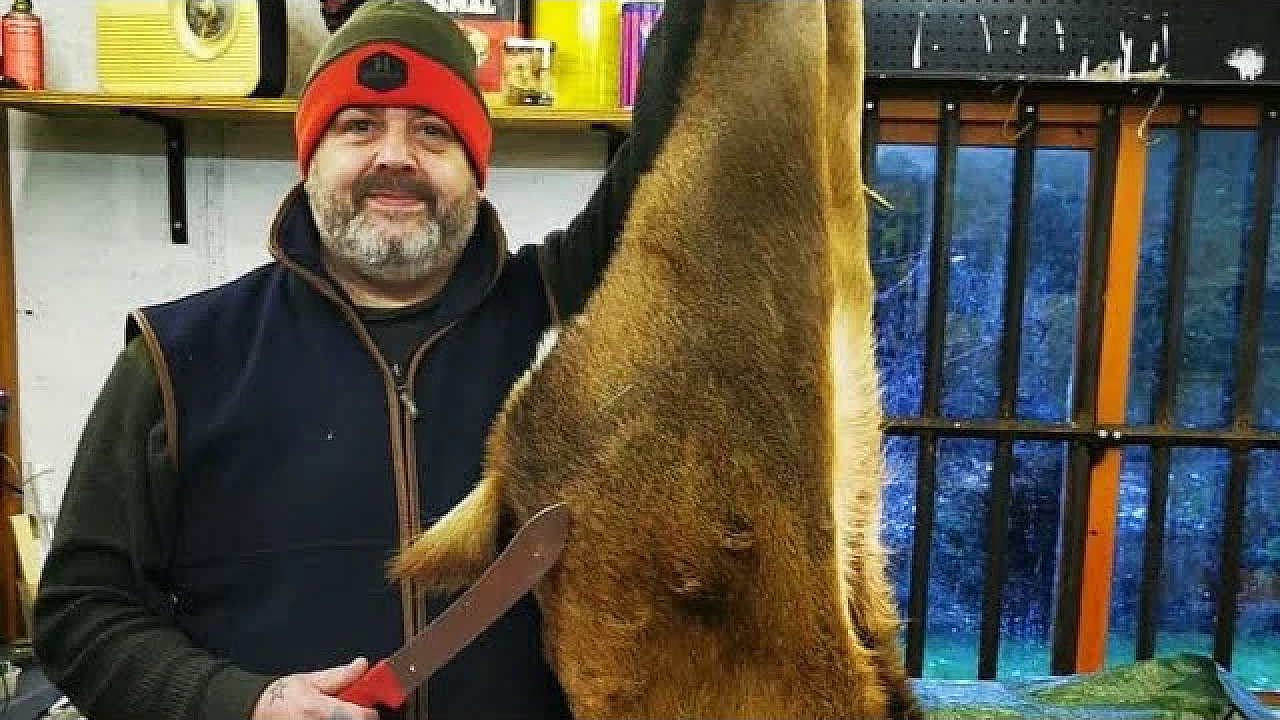 How To Butcher A Deer. 156lb Red Deer. How To Butcher A Red Deer Masterclass #venison #reddeer #srp