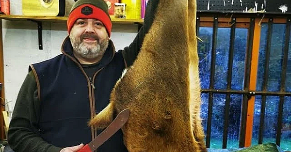 How To Butcher A Deer. 156lb Red Deer. How To Butcher A Red Deer Masterclass #venison #reddeer #srp