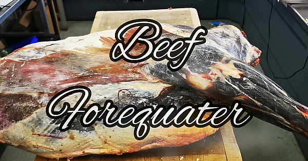 Butchers Shop Asmr. Breaking A Beef Forequater Into Primals. #srp #beef #forequater #asmr