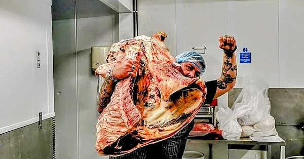 Beef Butchery. Rump And Loin Breakdown. Where Do Steaks Come From?. Sirloin, Rump And Fillet. #srp