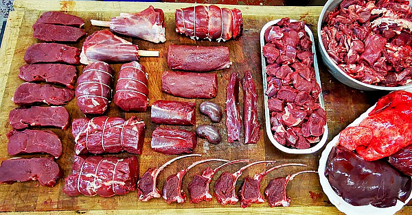 A Complete, Venison Butchery Masterclass.  Simple High Yield Processing. Autumn 2022. #srp #venison