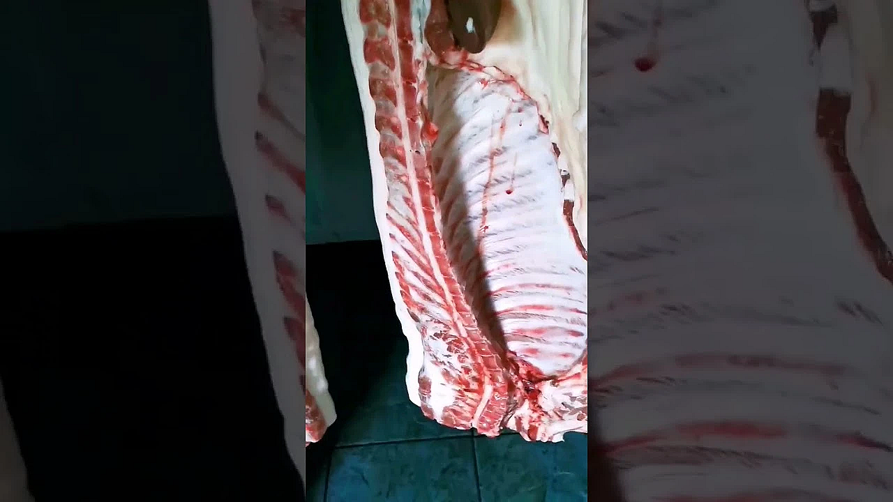 Beautiful Sides Of Pork. How To Butcher A Pig. Pig Butcher. Cuts Of Pork #pork #srp