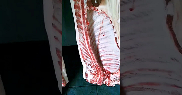 Beautiful Sides Of Pork. How To Butcher A Pig. Pig Butcher. Cuts Of Pork #pork #srp