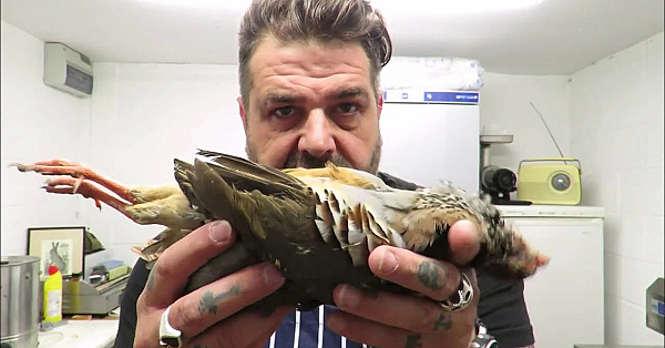 The Easy Way To Prepare Game. Part 1  The Partridge  #srp #partridge