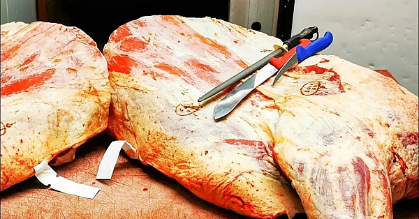 Beef Forequater. How To Cut A Beef Forequater Into Primals The Traditional English Way.  #srp #beef