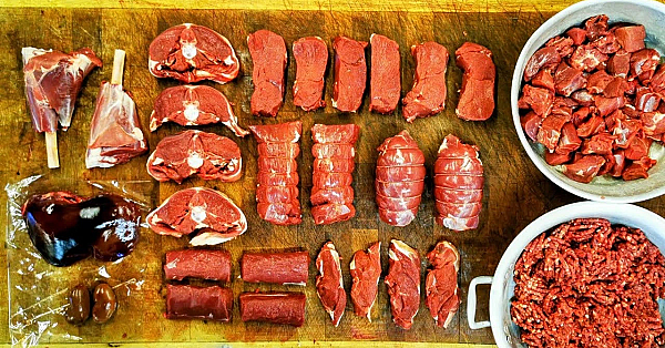 Venison Breakdown Timelapse. Ready To Roast, Fry, Grill &amp; Casserole. Many  Usable Cuts. #srp