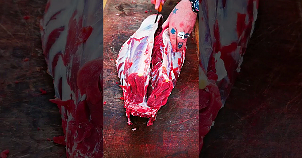 #venison Backstrap Processing. Removing The Backstrap/loin Fillet Of Venison. #srp #shorts