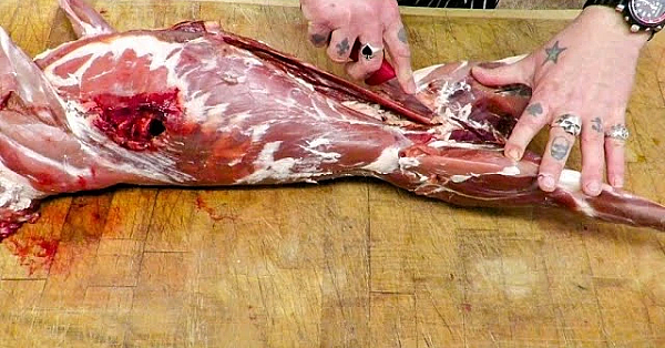 New Years Venison. One Muntjac Into Steaks, Diced &amp; Mince/ground. #srp #venison