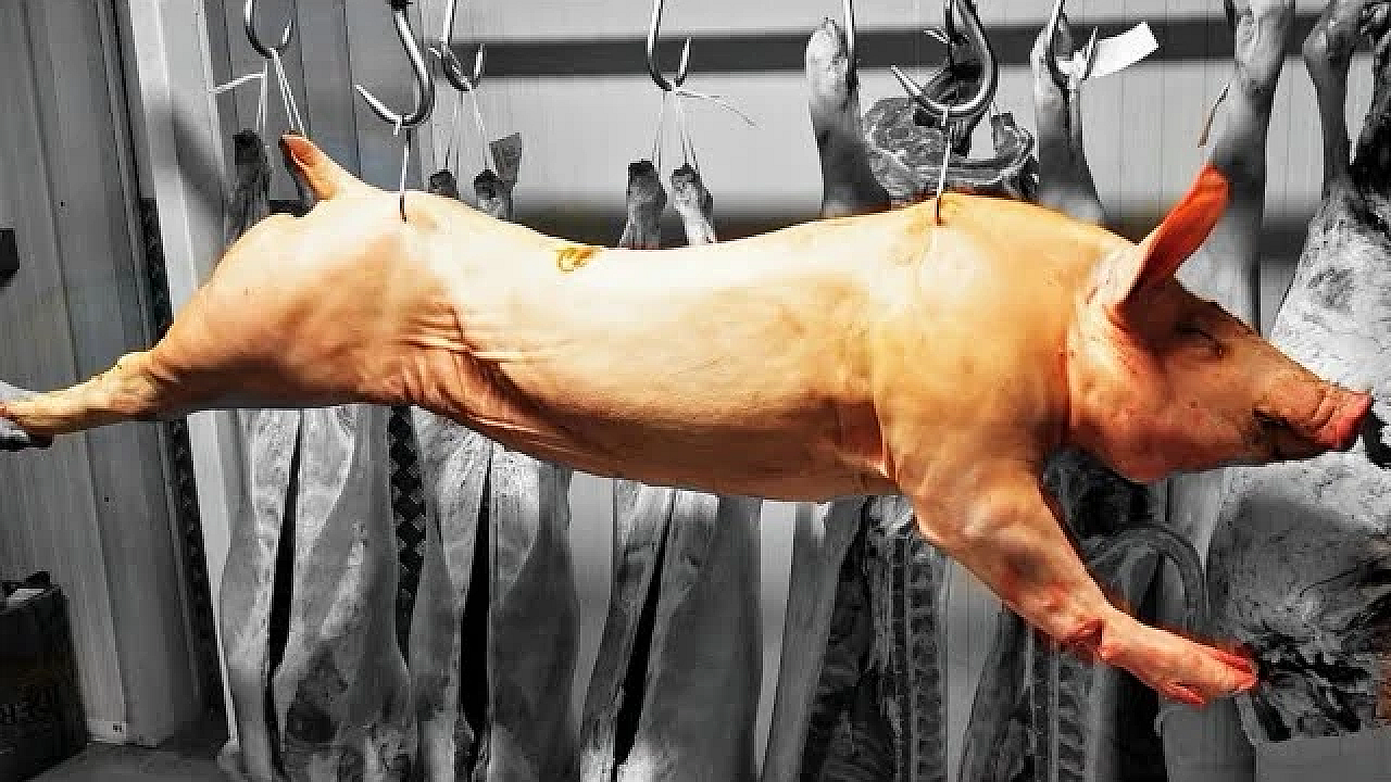 A Side Of Pork. Preparing A Side Of Pork For The Shop. Pork Masterclass #srp #pork #traditional