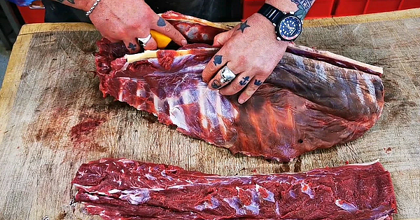 Venison Masterclass. Fallow Deer. Preparing Venison For The Shop. #srp #venison