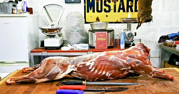 Venison Masterclass. Muntjac, The Invasive Species. Venison Processing. #srp