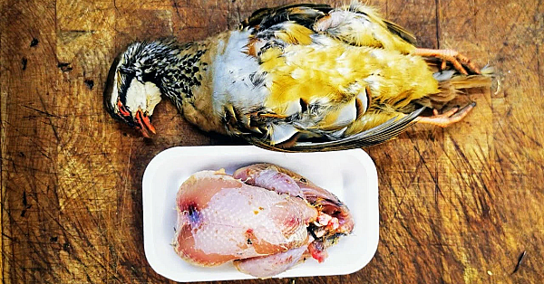 How To Prepare A Partridge. Plucked, Drawn, Trussed And Oven Ready. Roast Partridge #srp