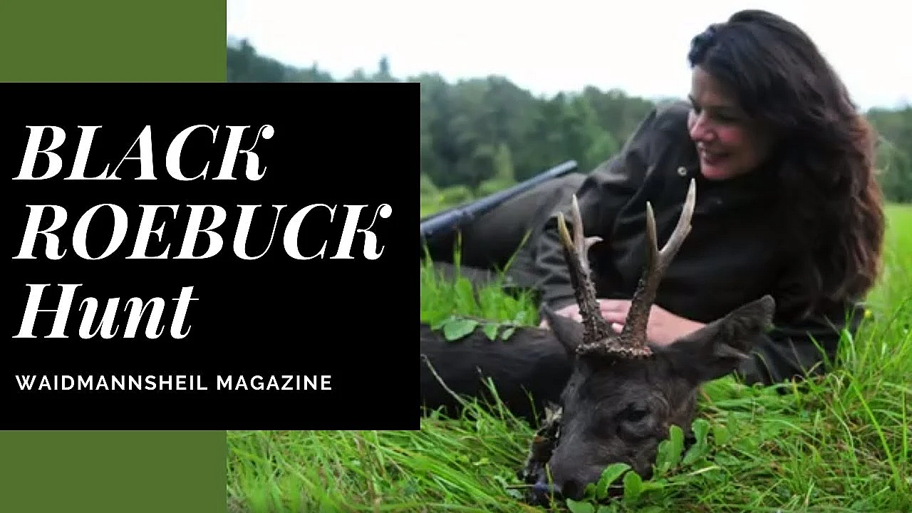 Jagd Auf Den Schwarzen Rehbock. Erfolgreiche Pirsch.