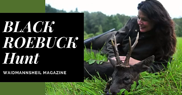 Jagd Auf Den Schwarzen Rehbock. Erfolgreiche Pirsch.