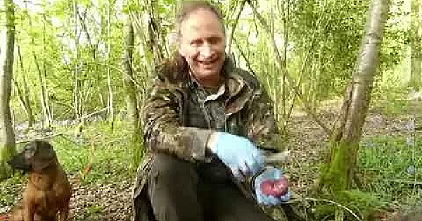 How To Gralloch A Deer, Rehwild Aufbrechen, Reewild Ontweiden In Het Veld.