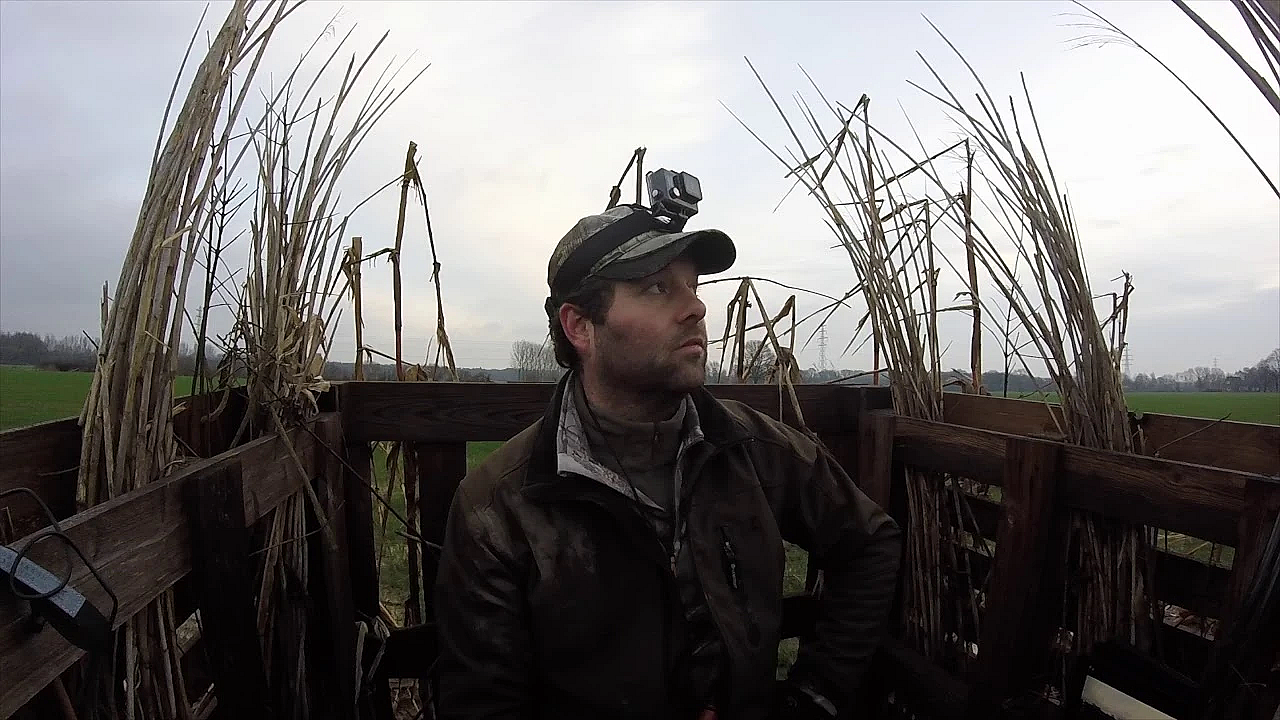 Jacht  - Een Domme Kraai