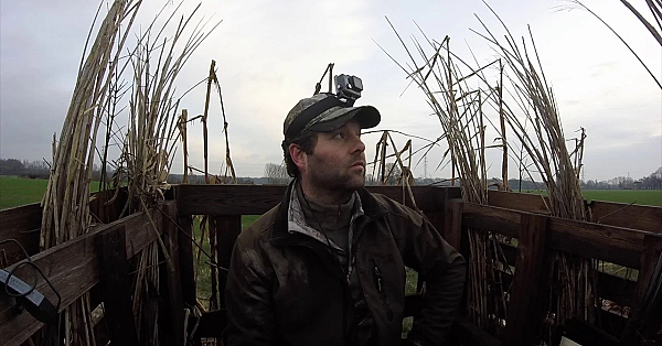 Jacht  - Een Domme Kraai