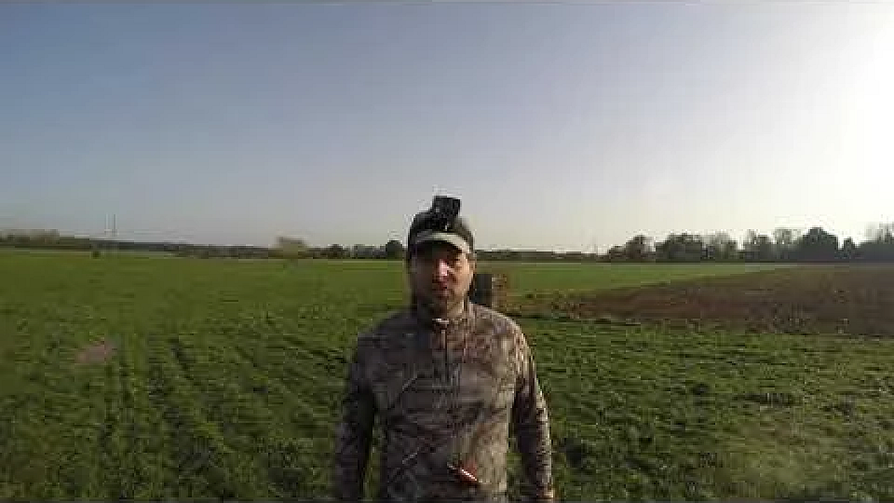 Jacht - Honderden, Misschien Wel Duizenden Kraaien.