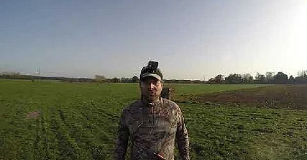 Jacht - Honderden, Misschien Wel Duizenden Kraaien.