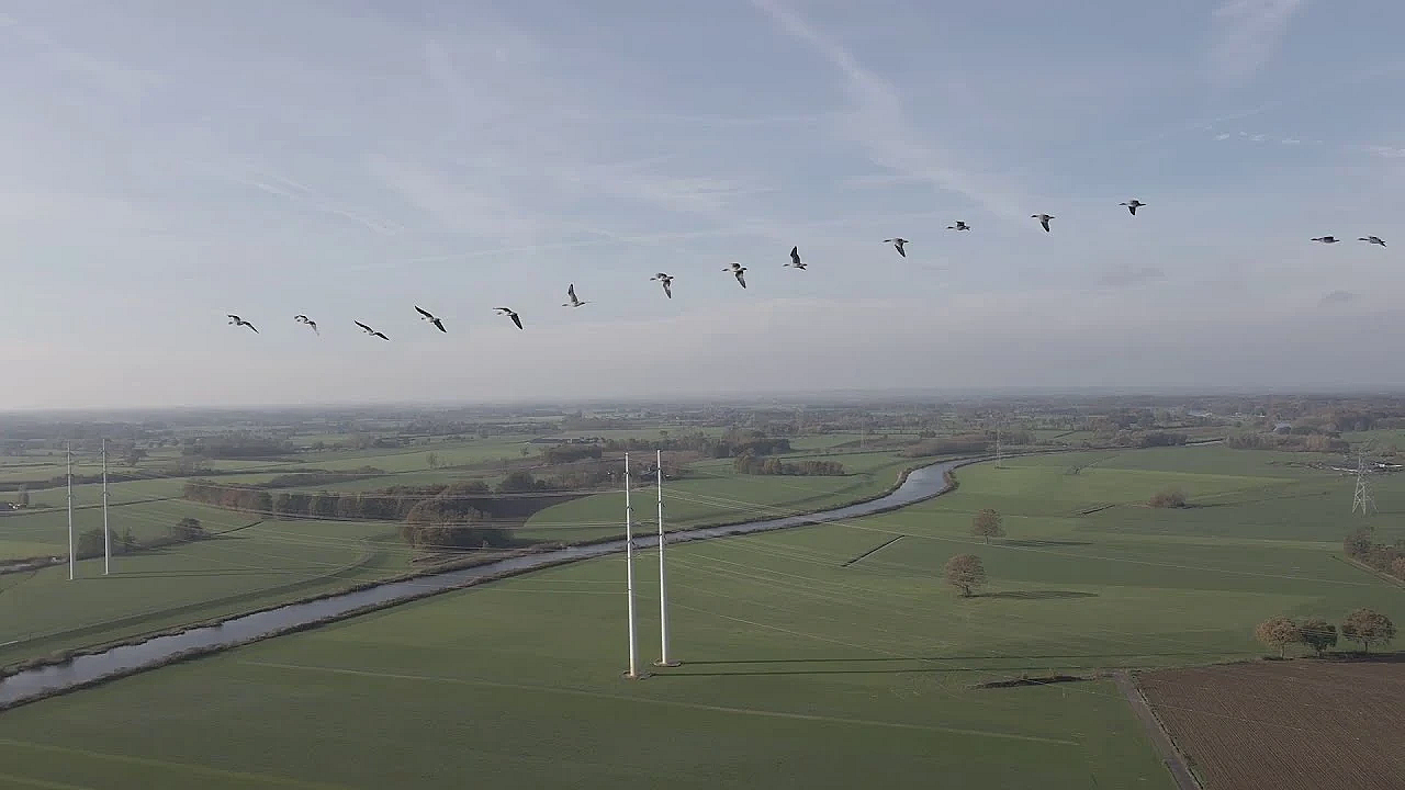 Intro Backcorner Hunting