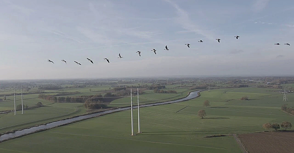 Intro Backcorner Hunting