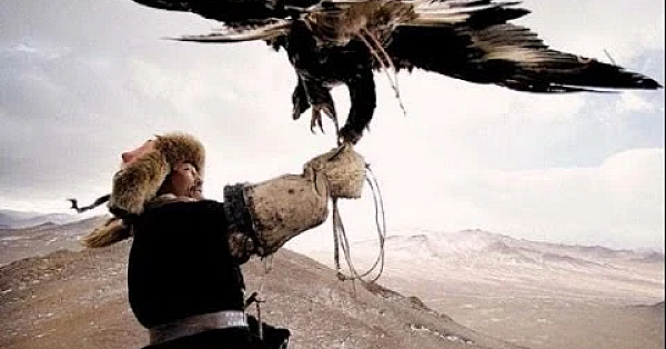 Mongoolse Kazakken jagen op wolven met adelaars