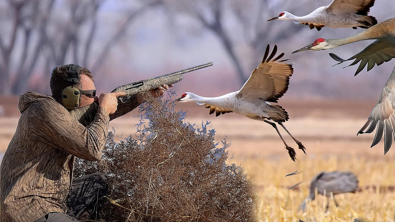 Ribeye Of The Sky! Hunting Sandhill Cranes In Oklahoma {catch Clean Cook} How To Cook Crane