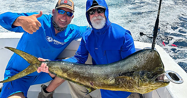 Marlin, Dorado, Sailfish, Tuna And Sharks! {catch Clean Cook} The Best Fishing Trip Ever!