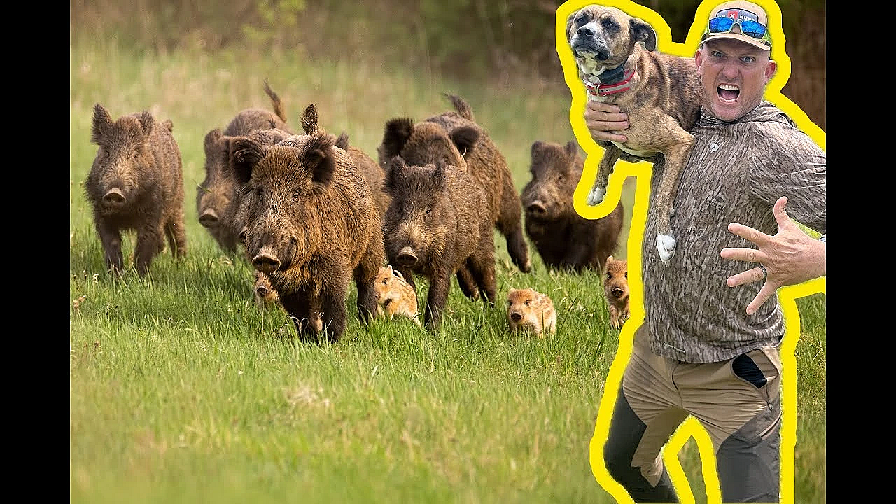 Camo Caught Her First Wild Boar!!!! {catch Clean Cook} The Best Wild Pork I've Ever Had!!!