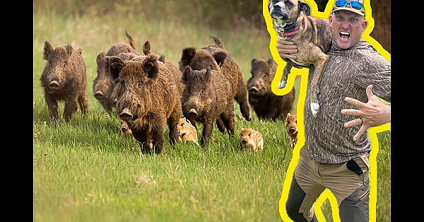 Camo Caught Her First Wild Boar!!!! {catch Clean Cook} The Best Wild Pork I've Ever Had!!!