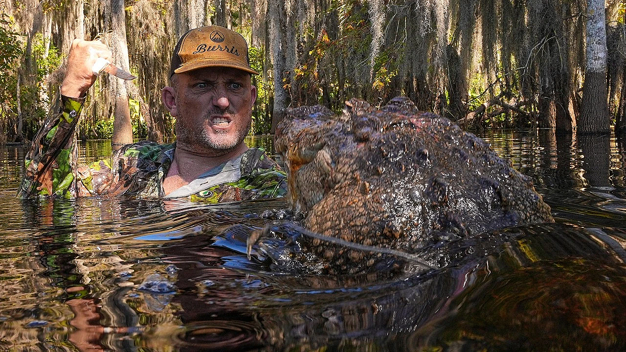 Alligators In Florida Are Growing Out Of Control!