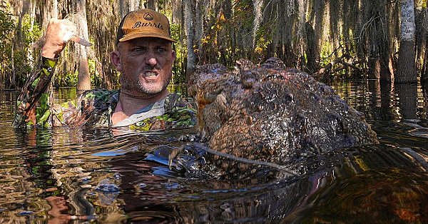 Alligators In Florida Are Growing Out Of Control!