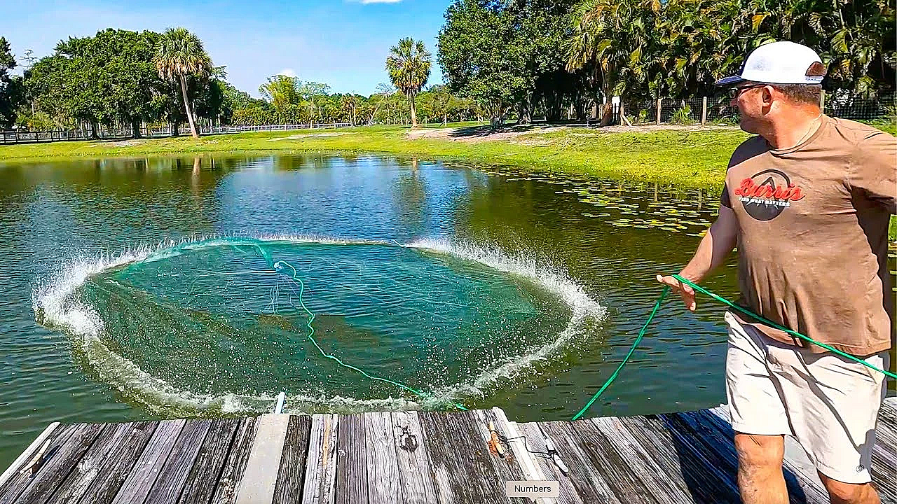 1 Cast And My Net Was Ruined! Creating A Bass Oasis In My Neighbors Pond!