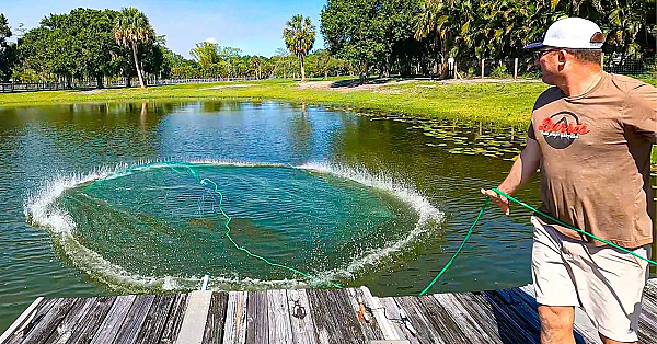 1 Cast And My Net Was Ruined! Creating A Bass Oasis In My Neighbors Pond!