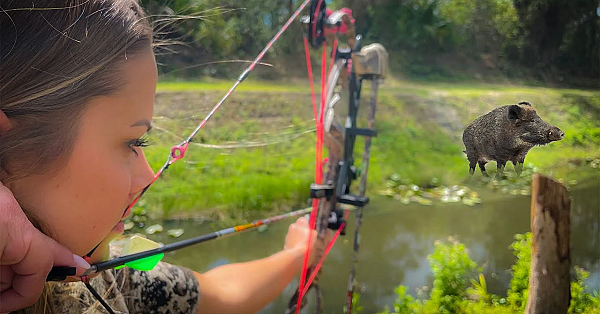 Awesome Wild Boar Hunt {7 Months Pregnant And Stalking Barefoot}